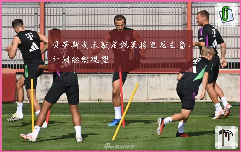 贝蒂斯尚未敲定佩莱格里尼去留，计划继续观望