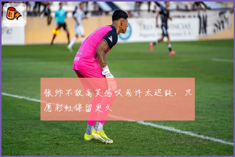 张帅不敌高芙感叹或许太迟钝,只愿彩虹停留更久